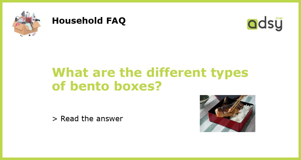 what-are-the-different-types-of-bento-boxes