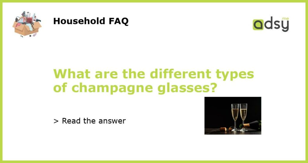 What are the different types of champagne glasses featured