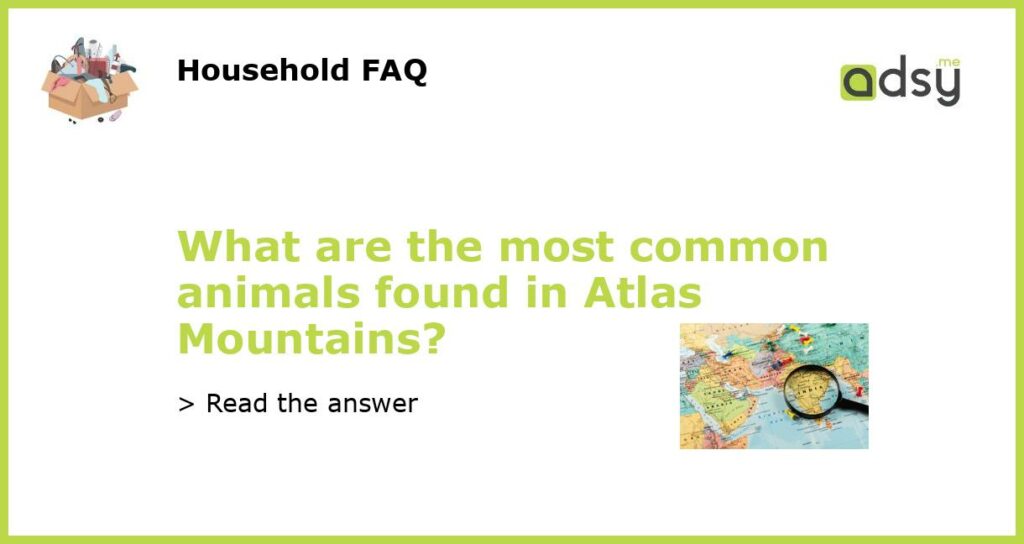What are the most common animals found in Atlas Mountains featured