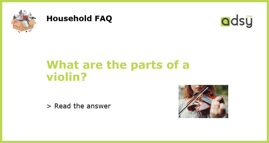What are the parts of a violin featured
