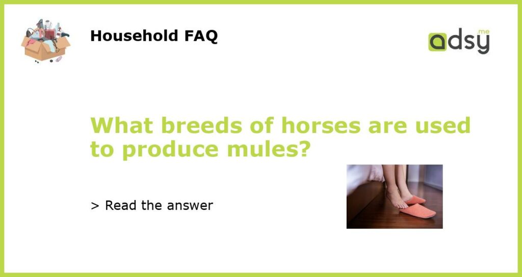 What breeds of horses are used to produce mules featured