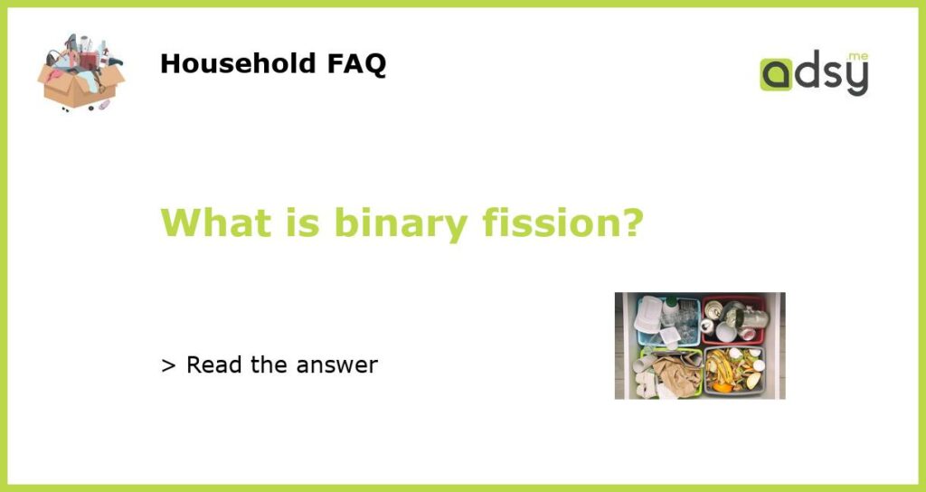 What is binary fission?