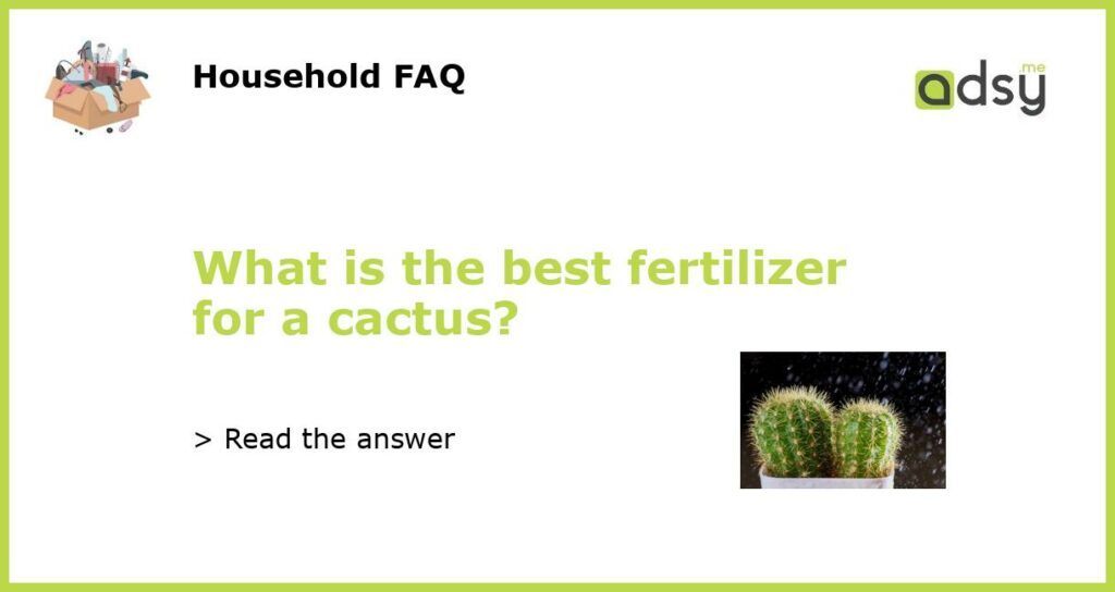 What is the best fertilizer for a cactus featured