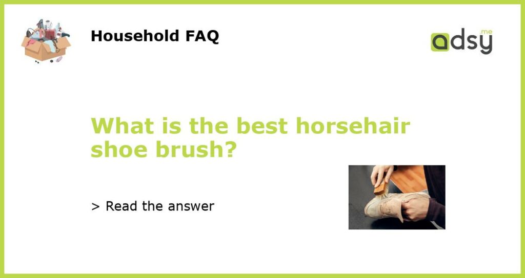 What is the best horsehair shoe brush featured