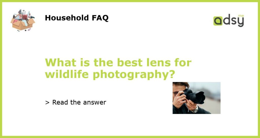 What is the best lens for wildlife photography featured