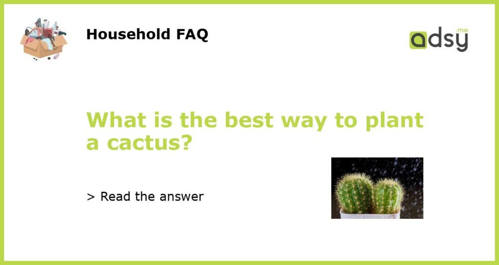 What is the best way to plant a cactus featured