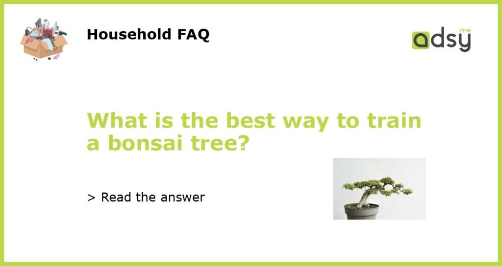 What is the best way to train a bonsai tree?