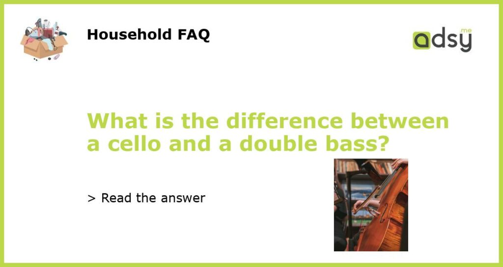 What is the difference between a cello and a double bass?