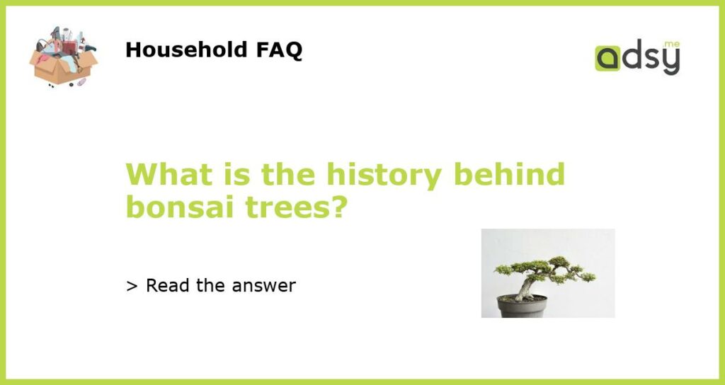 What is the history behind bonsai trees featured