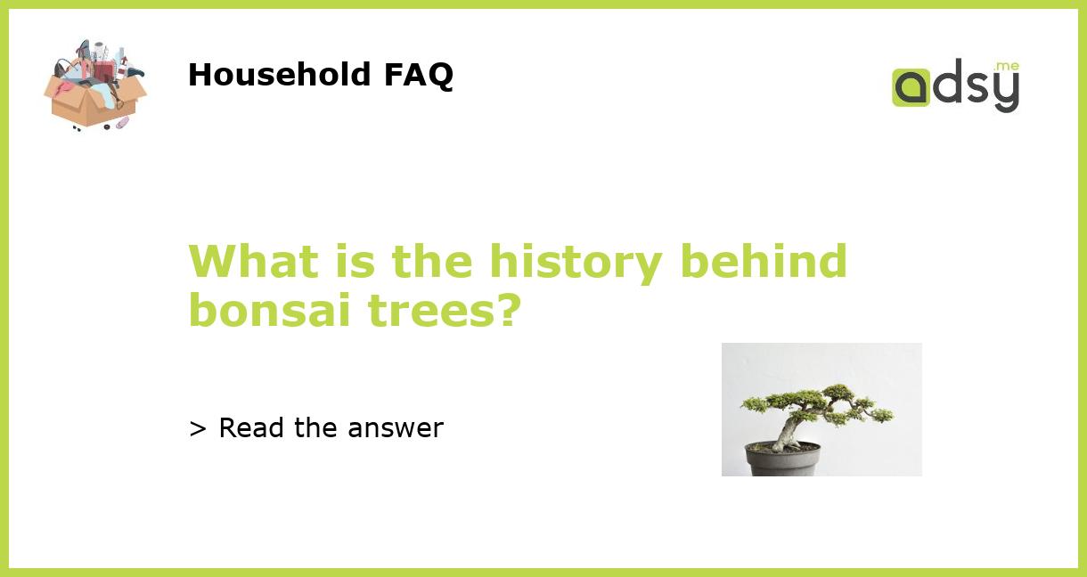What is the history behind bonsai trees?