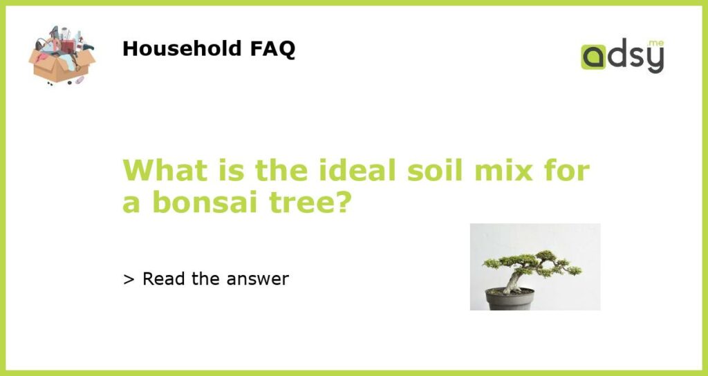 What is the ideal soil mix for a bonsai tree featured