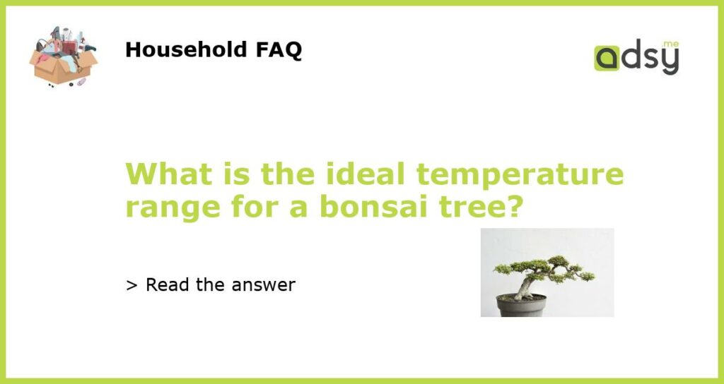 What is the ideal temperature range for a bonsai tree featured