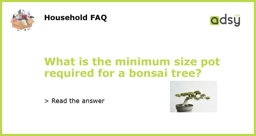 What is the minimum size pot required for a bonsai tree featured