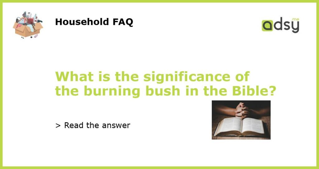What is the significance of the burning bush in the Bible featured