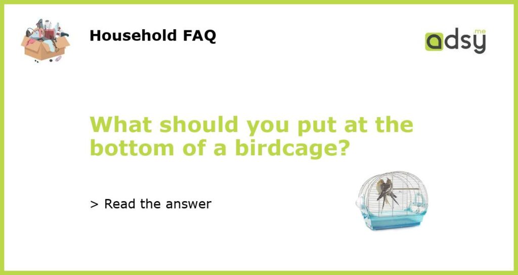 What should you put at the bottom of a birdcage featured