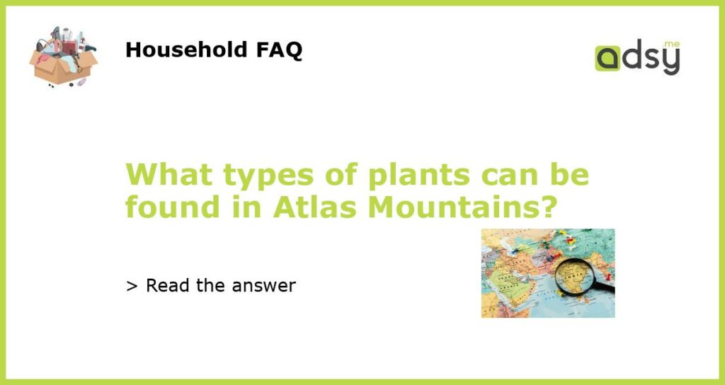 What types of plants can be found in Atlas Mountains featured
