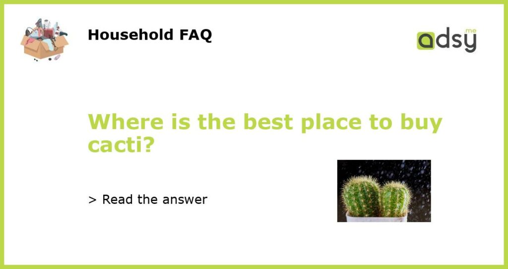 Where is the best place to buy cacti featured