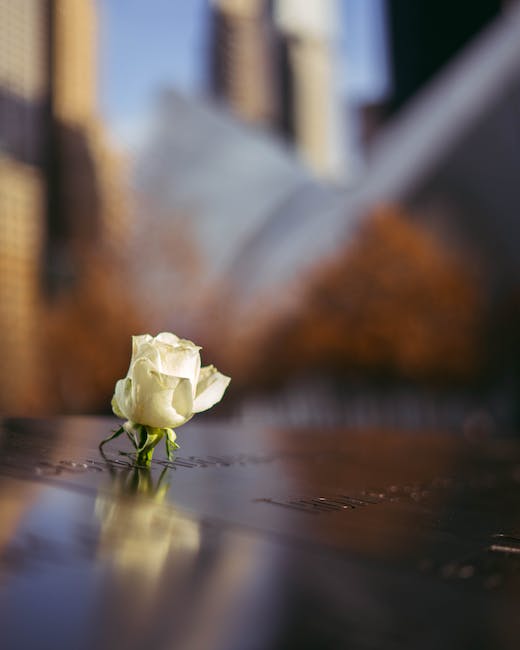 9/11 Memorial & Museum