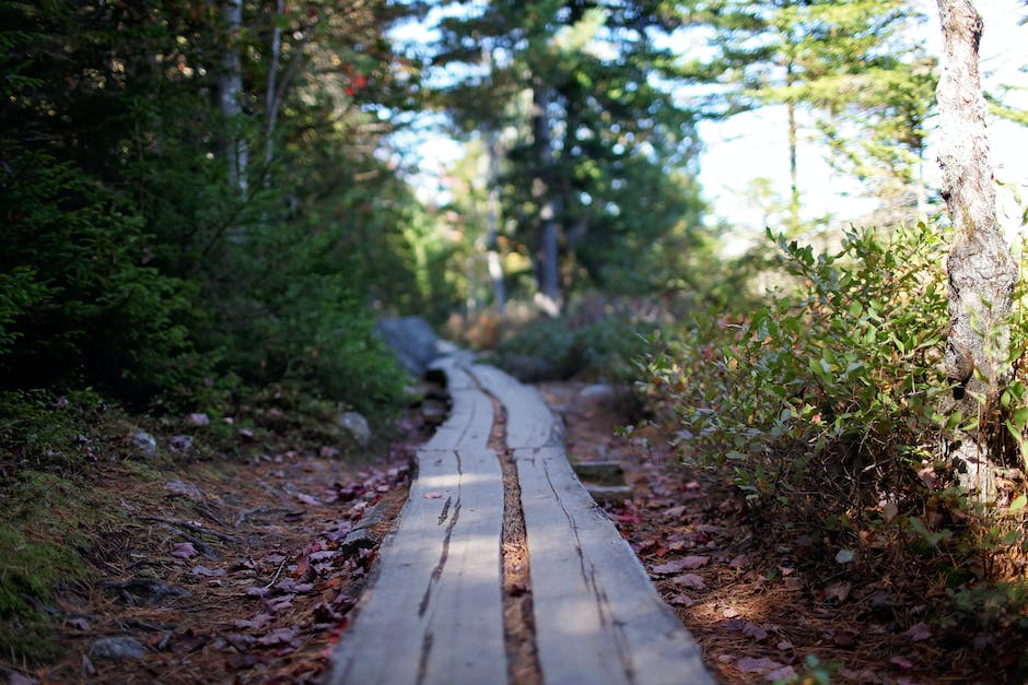 Acadia National Park Maine