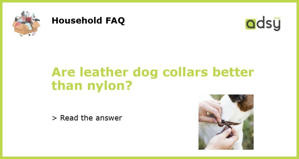 Are leather dog collars better than nylon featured