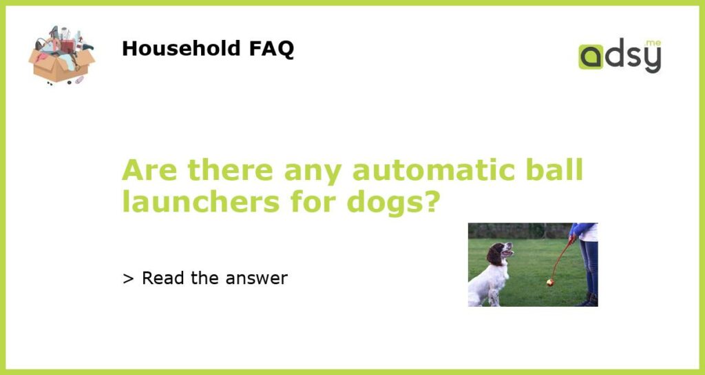 Are there any automatic ball launchers for dogs?