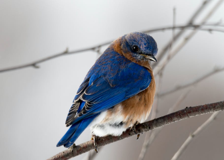 Birdwatching in a national wildlife refuge