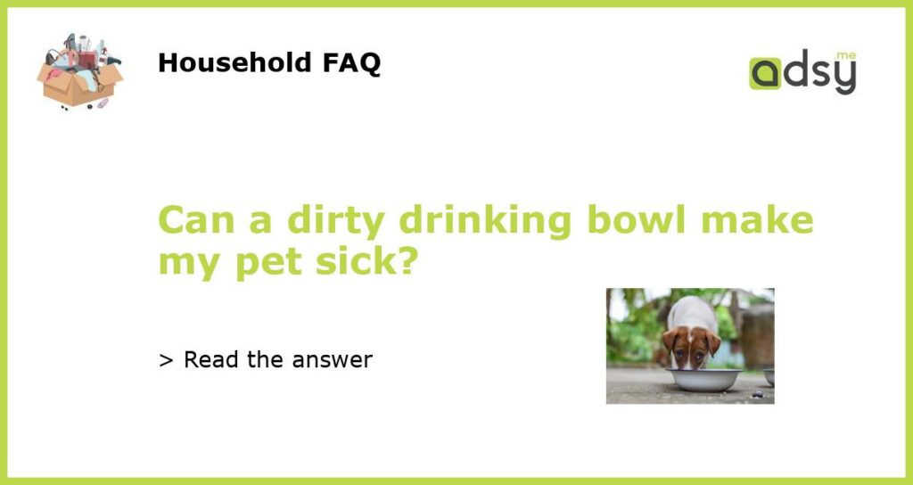 Can a dirty drinking bowl make my pet sick featured