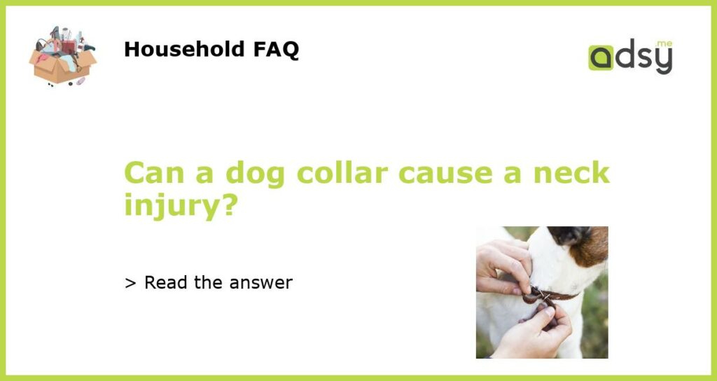 Can a dog collar cause a neck injury featured
