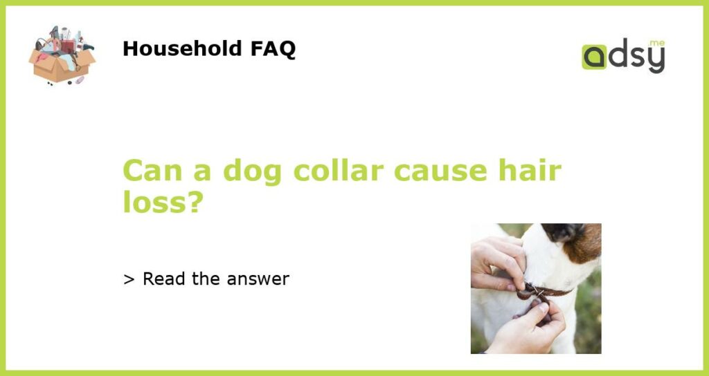 Can a dog collar cause hair loss featured