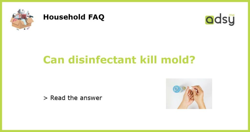 Can disinfectant kill mold featured