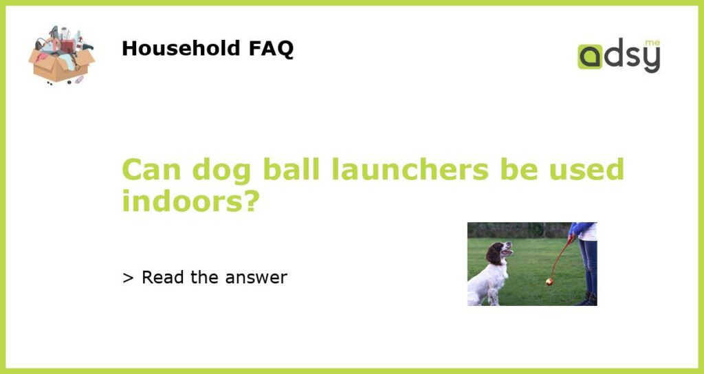 Can dog ball launchers be used indoors featured