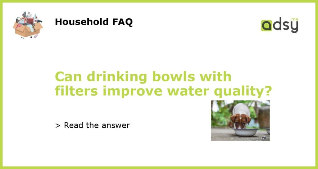 Can drinking bowls with filters improve water quality?