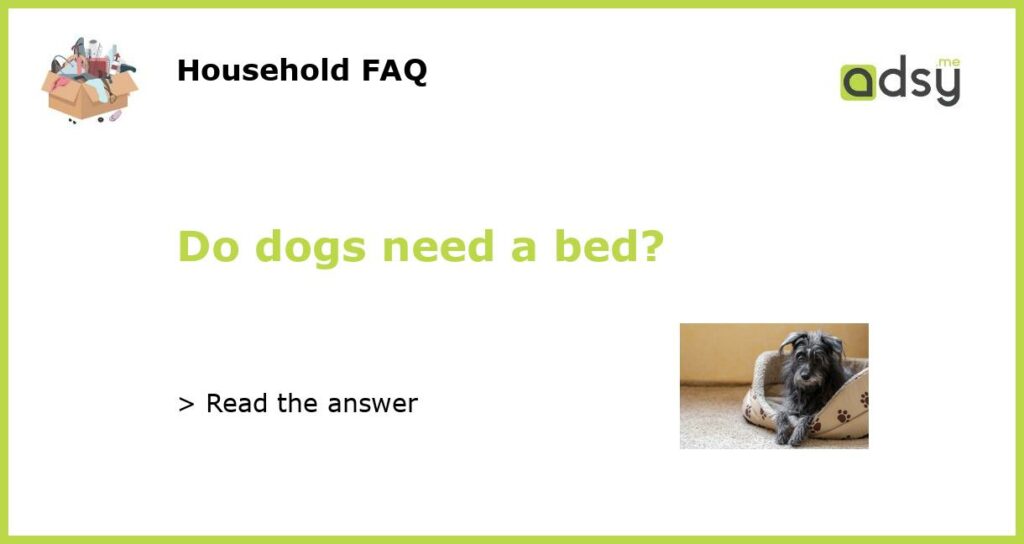 Do dogs need a bed featured