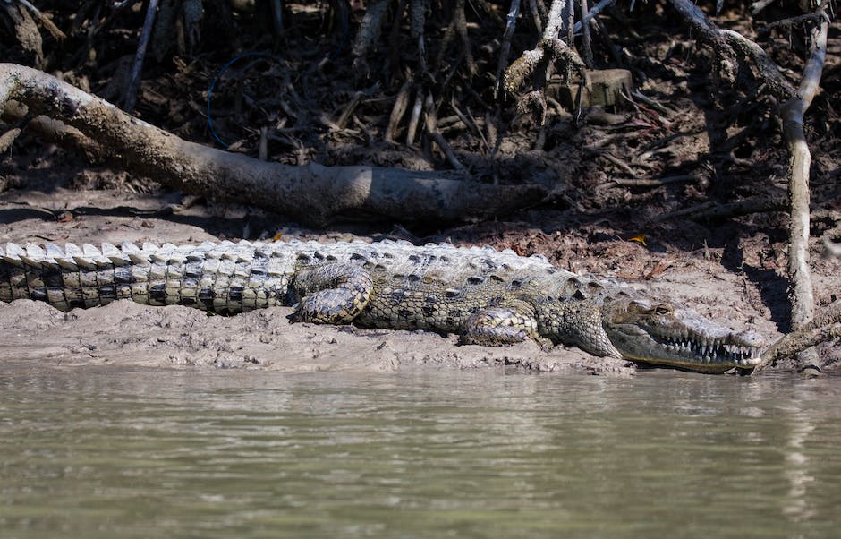 Everglades National Park