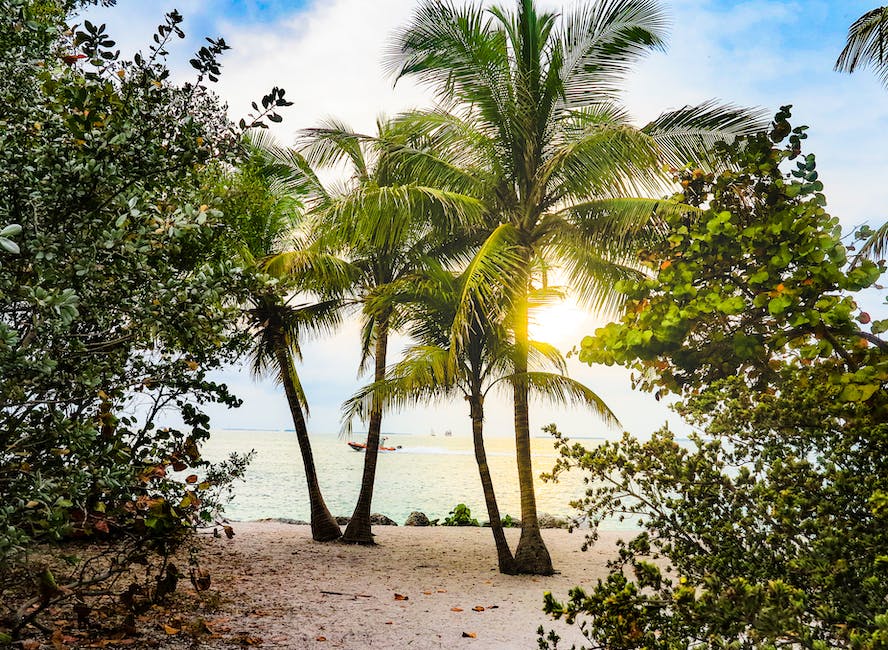 Florida Keys beach