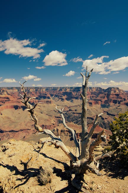 Grand Canyon National Park hiking