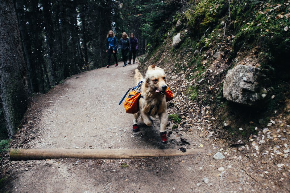 Hiking trail in a national wildlife refuge