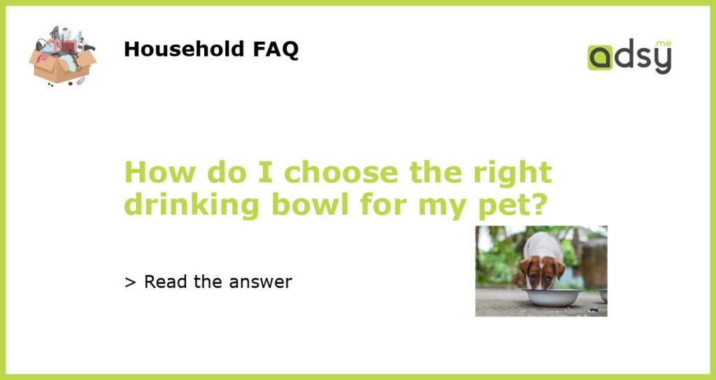 How do I choose the right drinking bowl for my pet featured
