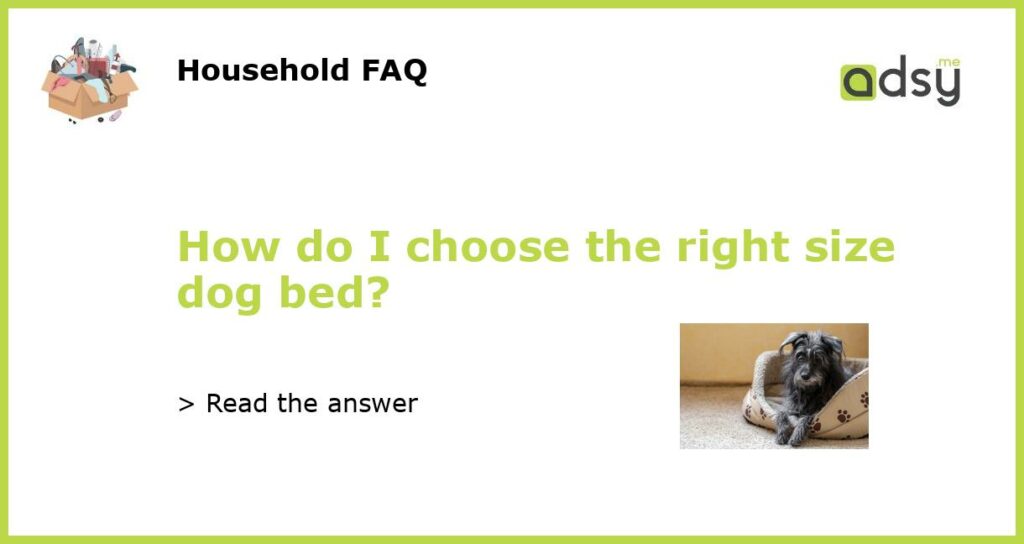 How do I choose the right size dog bed featured