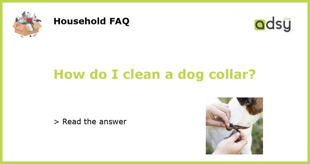 How do I clean a dog collar featured