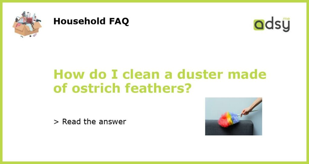 How do I clean a duster made of ostrich feathers featured