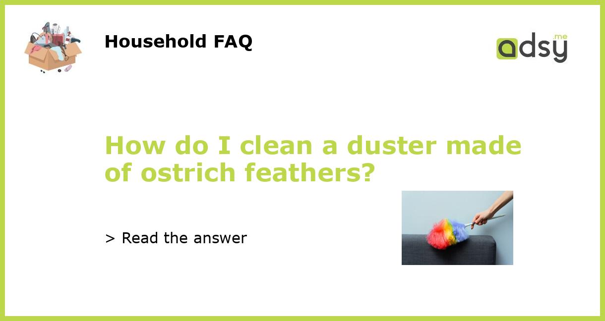 How to Clean a Duster