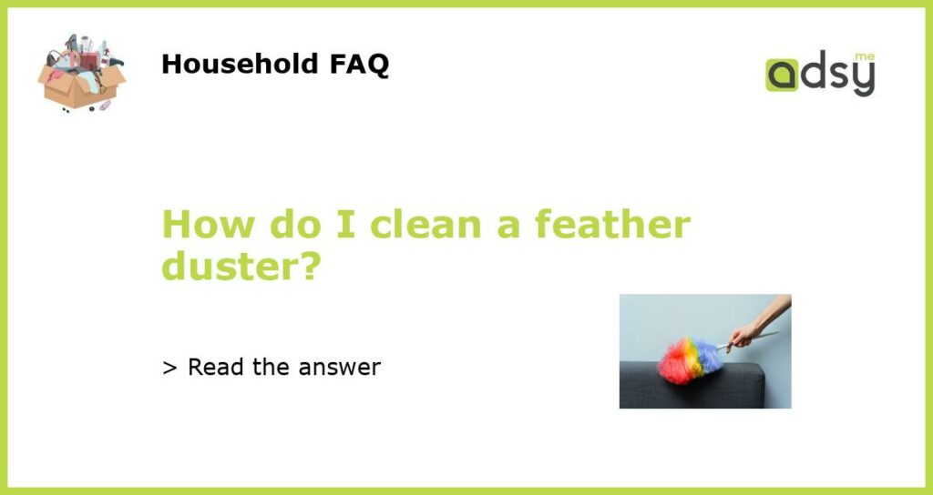 How do I clean a feather duster featured