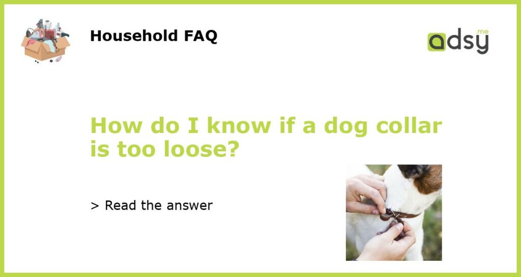 How do I know if a dog collar is too loose featured