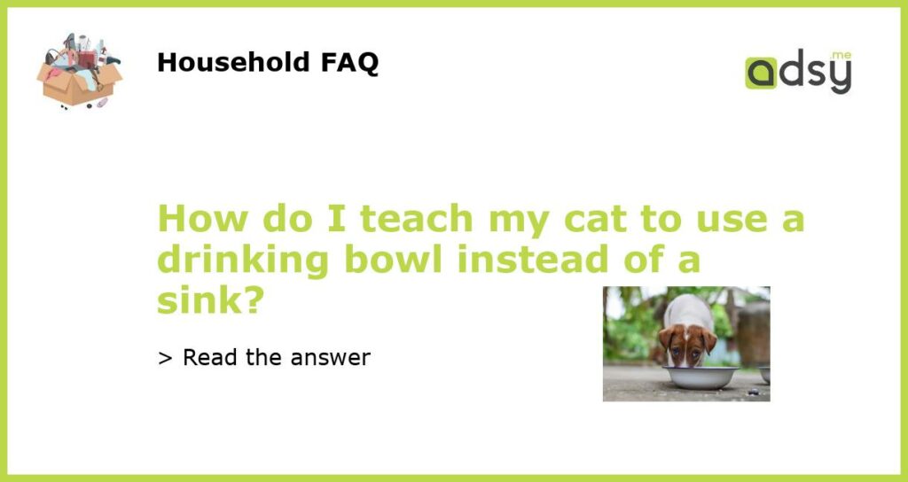 How do I teach my cat to use a drinking bowl instead of a sink featured