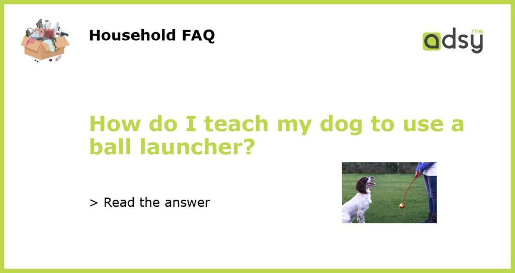 How do I teach my dog to use a ball launcher featured
