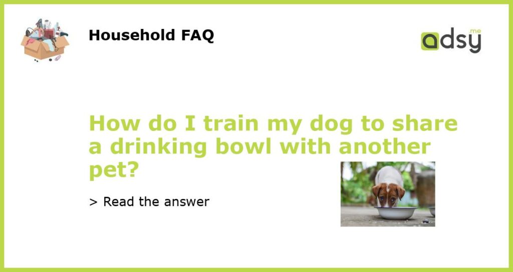 How do I train my dog to share a drinking bowl with another pet featured
