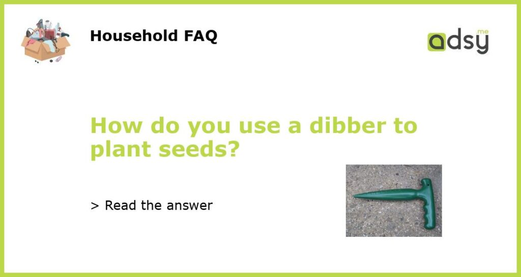 How do you use a dibber to plant seeds featured