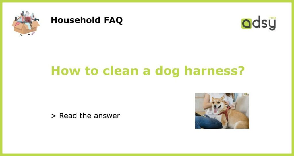 How to clean a dog harness featured
