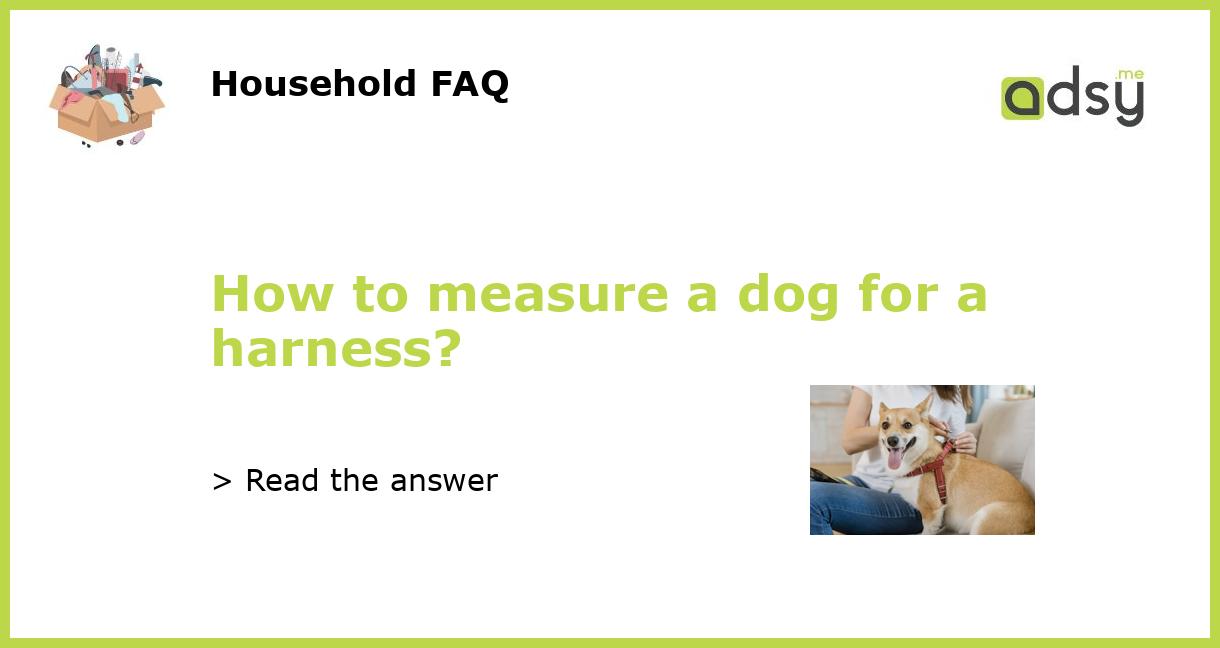 How to measure a dog for a harness?